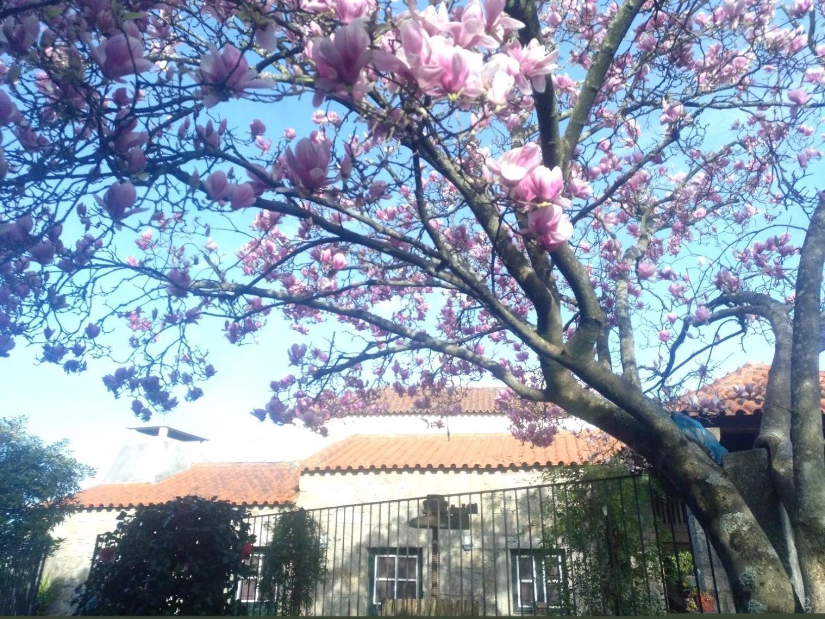 Sao Braz Terrace Villa Landim Exterior photo